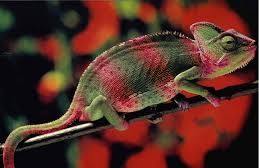 Ver&auml;nderungsmanagement