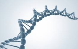 Kontinuierliche Verbesserung